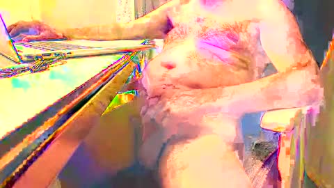 pino477 online show from October 14, 9:11 pm