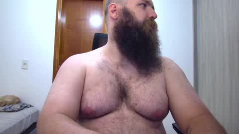 Bear online show from February 7, 3:24 am