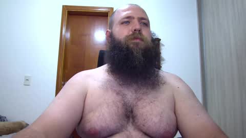 Bear online show from February 8, 2:15 am