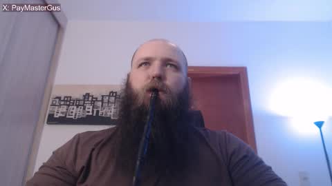 Bear online show from November 26, 4:37 am