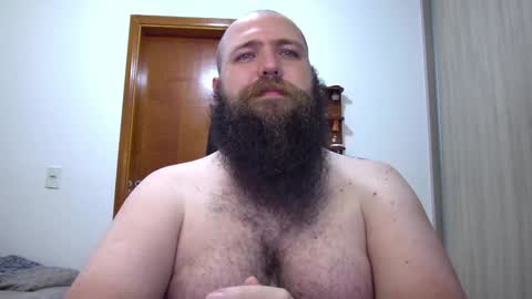 Bear online show from February 4, 2:17 am