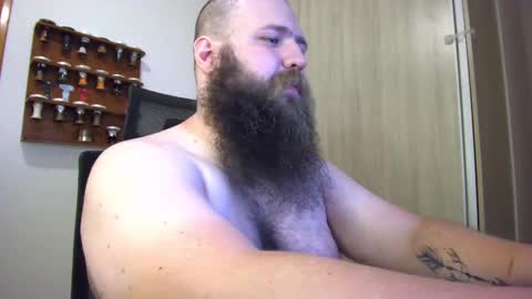 Bear online show from January 14, 1:36 am