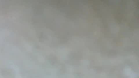 psachno online show from September 20, 11:54 am