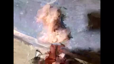 Luigi11 online show from January 8, 8:27 am