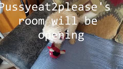 Rick online show from February 5, 10:51 am