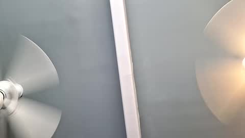 pussylicker517038 online show from September 8, 7:35 pm