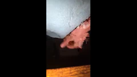 Phuzzyhunter online show from November 17, 11:08 pm