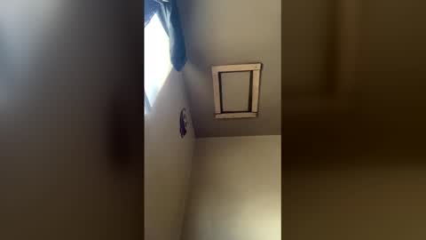 pyrex8 online show from December 20, 4:14 pm