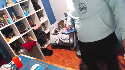 ravingr3d3 online show from February 2, 11:24 pm