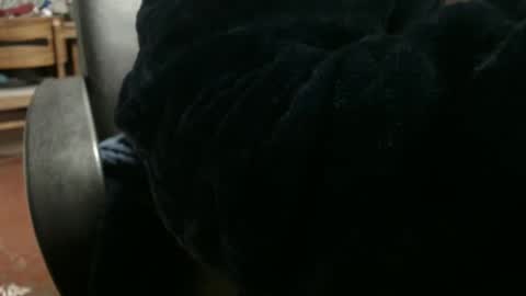 Ray online show from January 8, 3:08 am