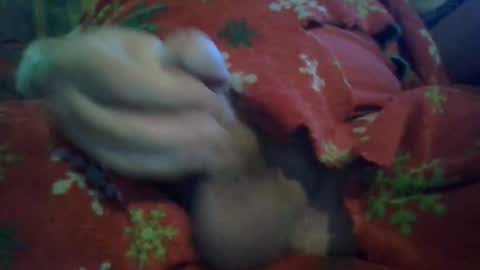 realfin344 online show from January 12, 1:04 pm