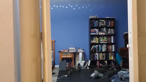 rebelstarlight online show from January 12, 8:51 am