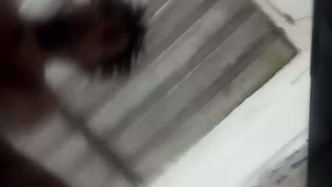 reinft online show from April 11, 9:35 am