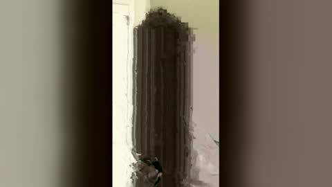 relof online show from April 14, 5:34 pm