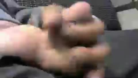 rgoggler2 online show from July 20, 9:48 am