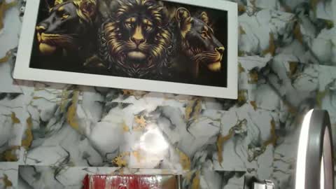 rigel online show from November 24, 1:28 am