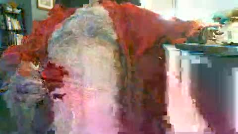 Rocco  aka DaddyRoc online show from February 14, 1:17 pm