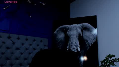 rocco_santos online show from September 17, 8:48 am