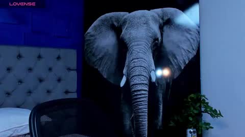 rocco_santos online show from September 27, 7:39 am