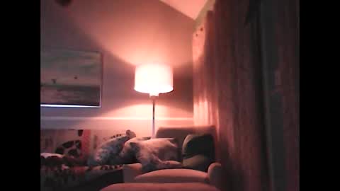 ronvlv online show from November 15, 3:19 am