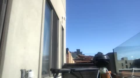 RossCollab online show from March 10, 5:30 pm