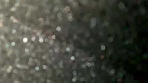 Ryland online show from October 8, 12:31 pm