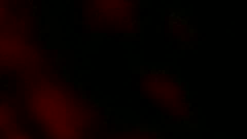 Snapshot of ryanstar7 chatting on January 18, 8:10 am Ryan Star online show from January 18, 8:10 am