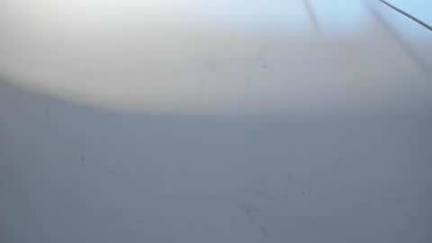 SALVATORE online show from February 22, 7:04 pm