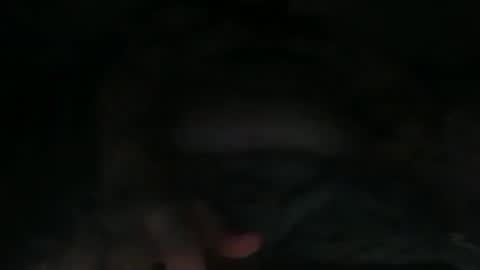 sananeelii online show from October 26, 9:50 pm