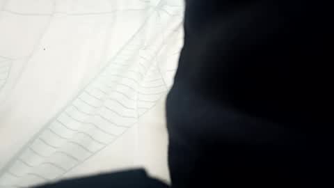 Harder online show from February 13, 11:06 am