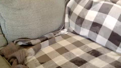 satisfaction01 online show from November 4, 7:37 pm