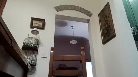 sbrinaiceberg online show from November 13, 4:28 am