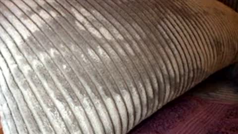 scotty2hotty46_ online show from February 21, 5:41 am