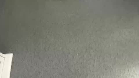 scottyc48 online show from November 8, 10:07 am