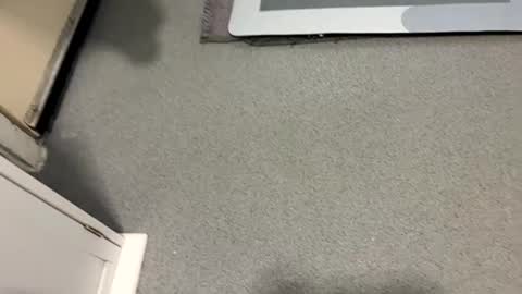 scottyc48 online show from October 13, 1:17 pm