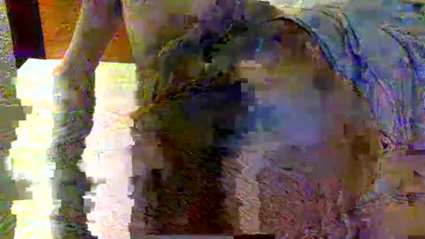 Snapshot of seanfritz1984 chatting on January 4, 5:47 pm dick online show from January 4, 5:47 pm