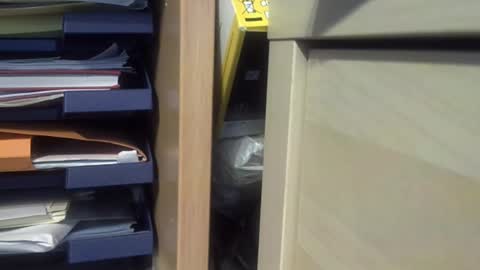 sebnours online show from September 22, 9:53 am