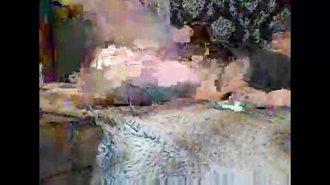 sebtin1979 online show from February 28, 1:37 am