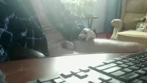 sexy0062 online show from November 18, 2:21 pm