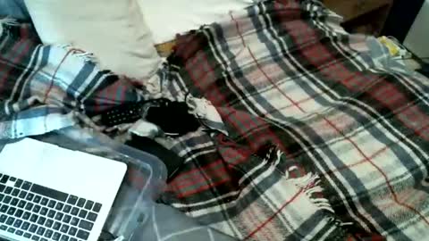 sexybiman74 online show from January 31, 10:52 pm