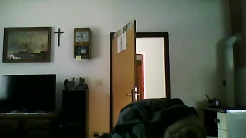 excelo21 online show from January 26, 10:45 am