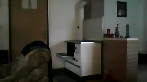 excelo21 online show from February 2, 8:02 am