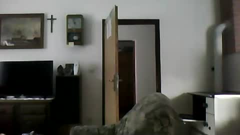 excelo21 online show from February 15, 12:54 pm