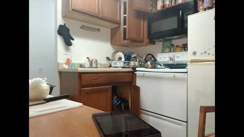 King-shelb online show from January 30, 7:29 am