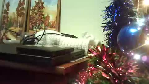 shirogane2004 online show from January 9, 7:19 pm