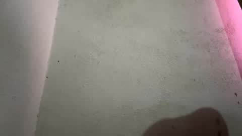 silllll online show from March 10, 3:40 pm