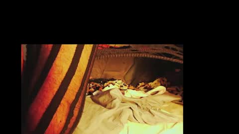 Sir Loin online show from February 6, 6:24 pm