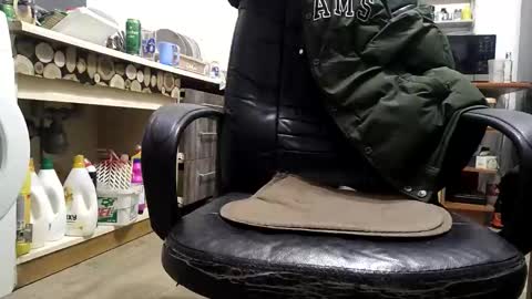 Pussy fan online show from February 6, 5:26 am