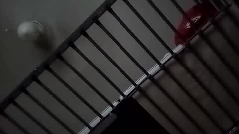 sparkyspeedway online show from October 24, 11:34 am