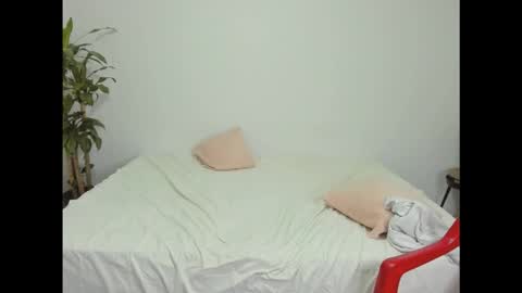 spider master online show from October 28, 4:37 am